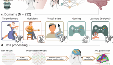 Creative experiences and brain clocks