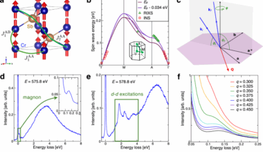 Systematic mapping of altermagnetic magnons by resonant inelastic X-ray circular dichroism