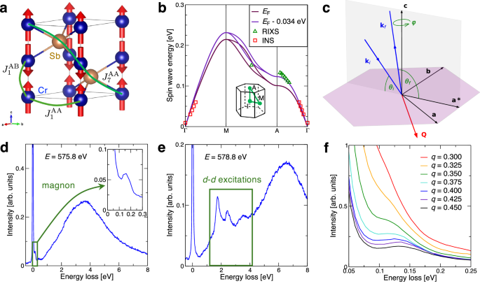 Systematic mapping of altermagnetic magnons by resonant inelastic X-ray circular dichroism