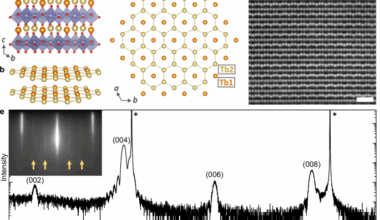 Signatures of quantum spin liquid state and unconventional transport in thin film TbInO3