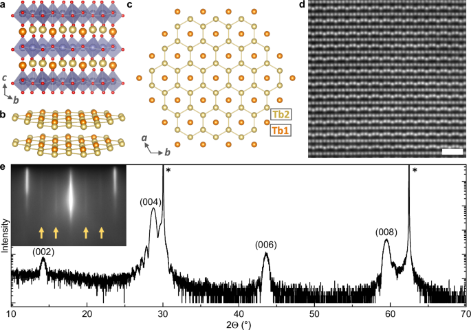 Signatures of quantum spin liquid state and unconventional transport in thin film TbInO3