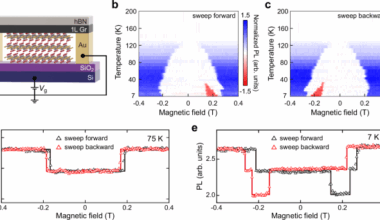 Charge transfer governed interlayer magnetic coupling and symmetry breaking in a van der Waals magnet