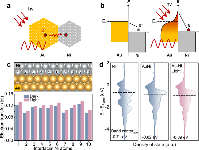 Light-induced pressurization effect in Au–Ni heterostructures for plasmonic photocatalysis