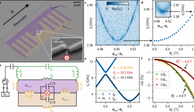 Spin environment of a superconducting qubit in high magnetic fields