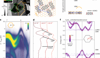 Hybrid Frenkel–Wannier excitons facilitate ultrafast energy transfer at a 2D–organic interface