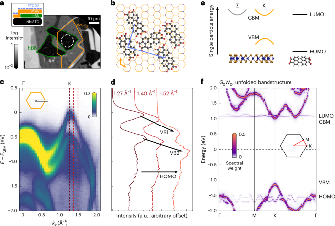 Hybrid Frenkel–Wannier excitons facilitate ultrafast energy transfer at a 2D–organic interface