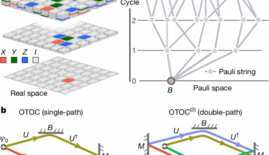 Observation of constructive interference at the edge of quantum ergodicity