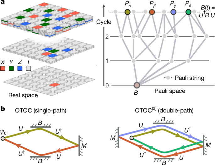 Observation of constructive interference at the edge of quantum ergodicity