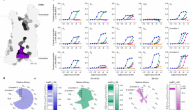 Designing allosteric modulators to change GPCR G protein subtype selectivity