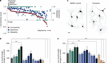 Thiorphan reprograms neurons to promote functional recovery after spinal cord injury