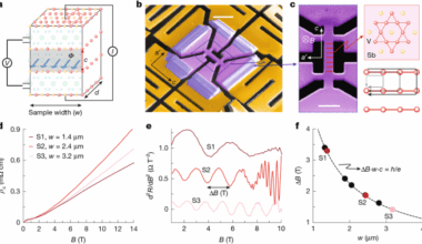 Many-body interference in kagome crystals