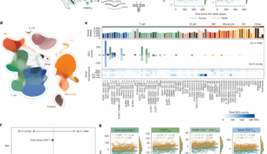 Multi-omic profiling reveals age-related immune dynamics in healthy adults