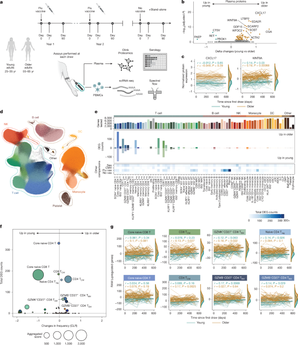 Multi-omic profiling reveals age-related immune dynamics in healthy adults