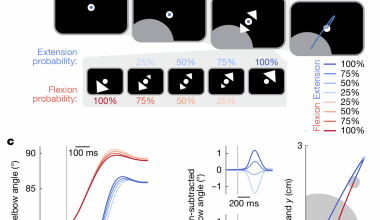 Sensory expectations shape neural population dynamics in motor circuits