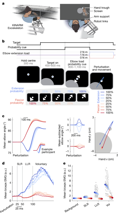 Sensory expectations shape neural population dynamics in motor circuits