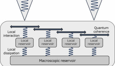 An experimental demonstration of irreversible mesoscopic carrier transport phenomena in InGaN quantum wells