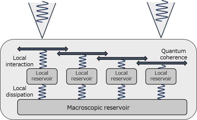 An experimental demonstration of irreversible mesoscopic carrier transport phenomena in InGaN quantum wells