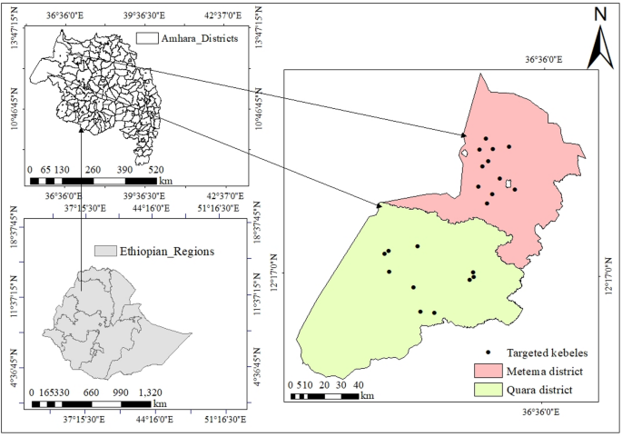 Study of ethnoveterinary medicinal plants in Metema and Quara districts, northwestern Ethiopia