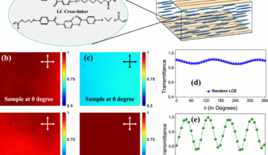 Controlled angular correlations and polarization speckle in scattering birefringent films