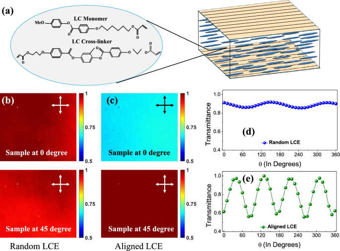 Controlled angular correlations and polarization speckle in scattering birefringent films