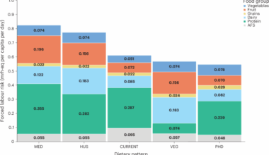 Current and recommended diets in the USA have embedded forced labour risk