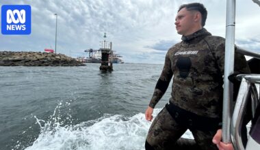 'Localised extinction' risk for seagrass in Botany Bay