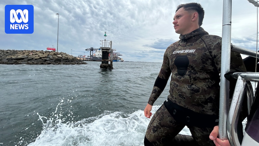 'Localised extinction' risk for seagrass in Botany Bay