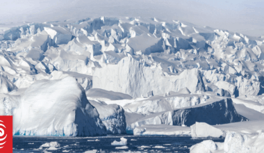 Shrinking job market forces scientists to pursue careers offshore