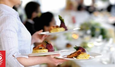 One third of Kiwi workers have more than one job, research finds