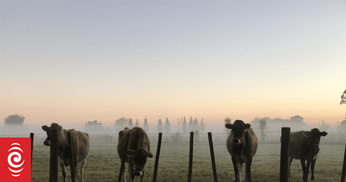 AgResearch reiterates halt to GE animal trials, amid fresh scrutiny