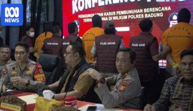 Three Australian men accused of killing Zivan Radmanovic in Bali could face death penalty