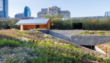 New Urban Order: Calder Gardens' Missed Opportunities