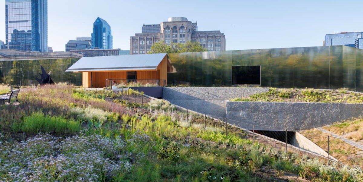 New Urban Order: Calder Gardens' Missed Opportunities