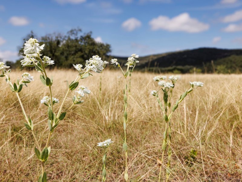 25 amazing state parks within driving distance of San Antonio