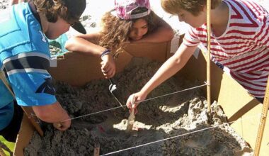 Service Outreach & Social Studies Projects at Christ Church Day School | Coronado Island News