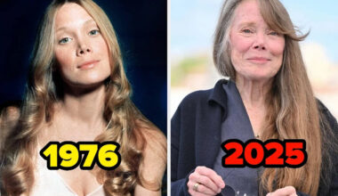 Yahoo entertainment home