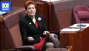 Hanson rubbishes Joyce leadership speculation, Albanese gets two thumbs up