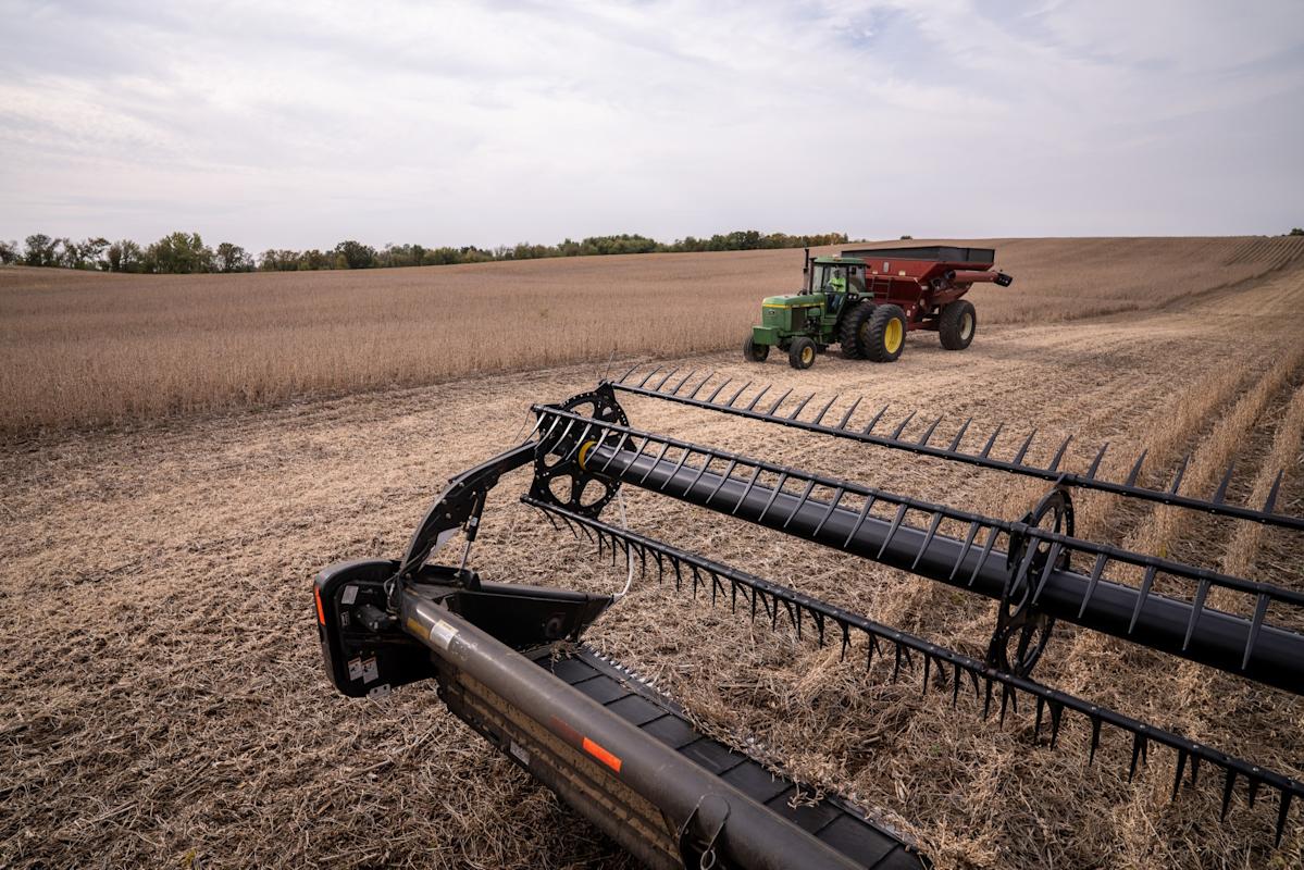 China to Make Substantial US Soybean Purchases, Bessent Says