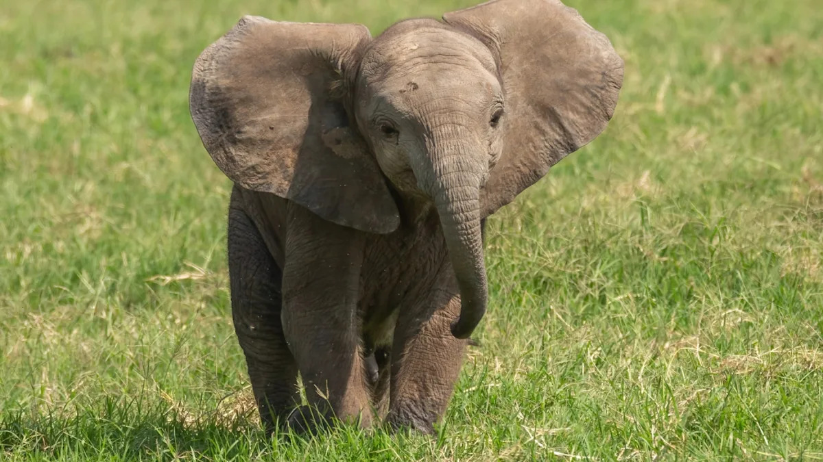 Yahoo lifestyle home