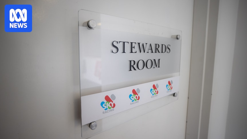 Tasracing sacks chief thoroughbred steward for 'conduct-related matters' days into employment