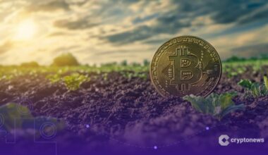 After the Washout, the Soil Looks Richer