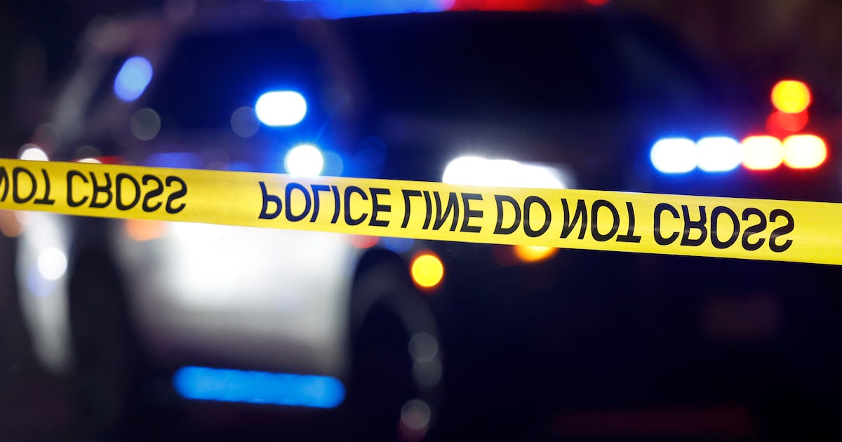 Man shot and killed in Redbird neighborhood of Dallas, police say