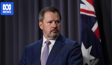 Labor backbencher calls for action to stop countries onselling Australian gas