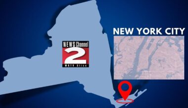 Rising Vessel Traffic Fuels Humpback Mortalities in New York Waters | State