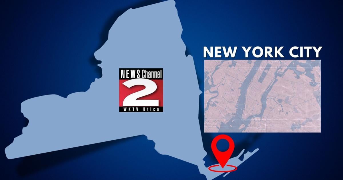 Rising Vessel Traffic Fuels Humpback Mortalities in New York Waters | State