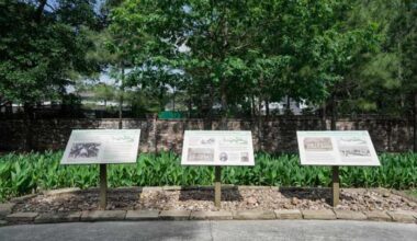 Houston named second least ‘green’ city in the US: WalletHub report