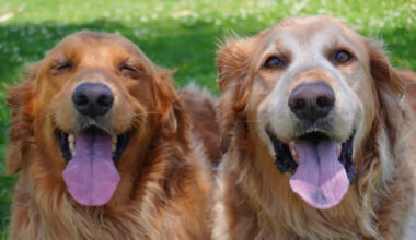 Yahoo lifestyle home