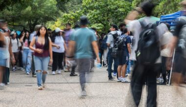 How enrollment is shaping UTA colleges | Campus