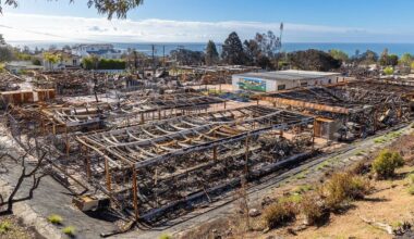 Man arrested for allegedly starting Palisades Fire in L.A. | California