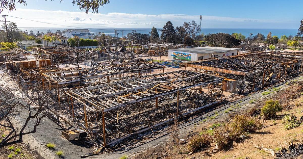 Man arrested for allegedly starting Palisades Fire in L.A. | California